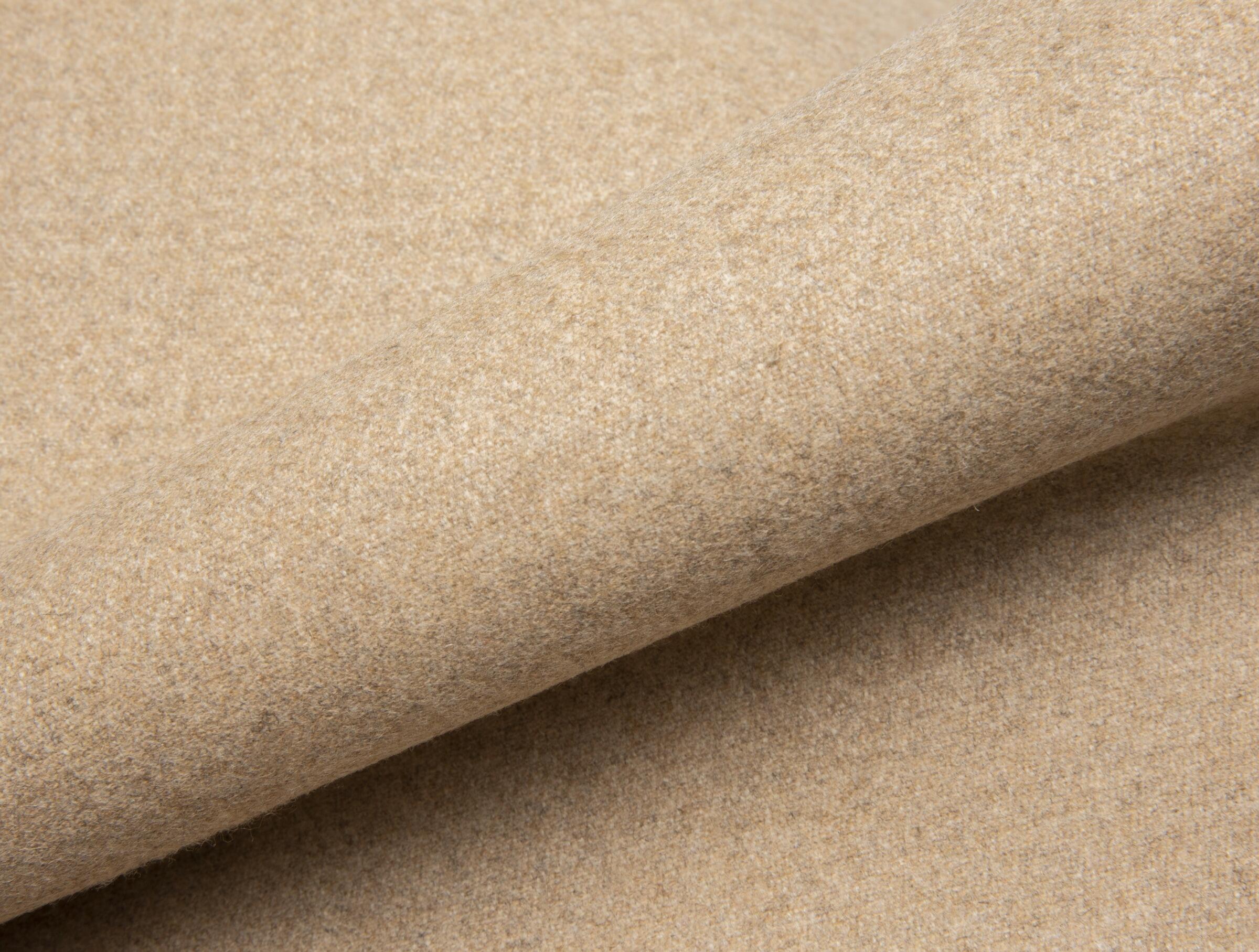 Winter Coat Wheat