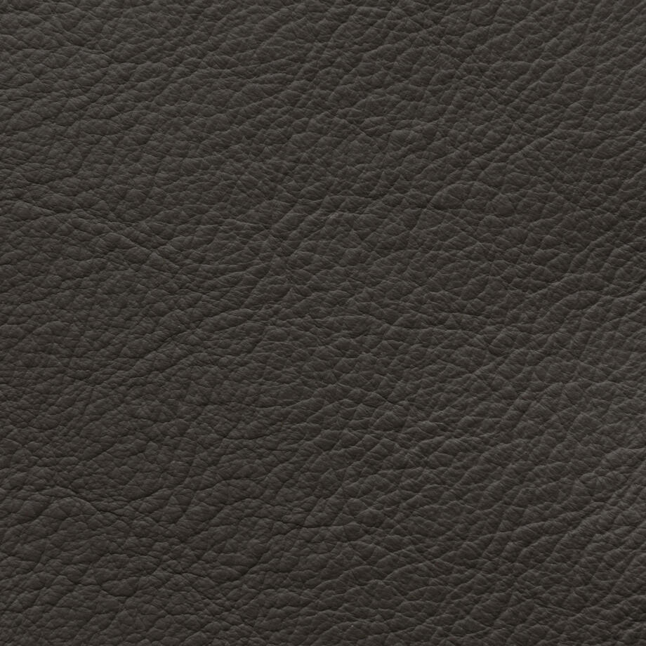 Aileron Leather Undergrowth