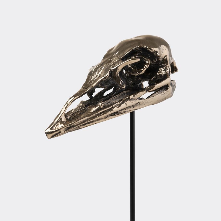 Bronze Bird Skulls, Emu, Antiqued Polished Gold