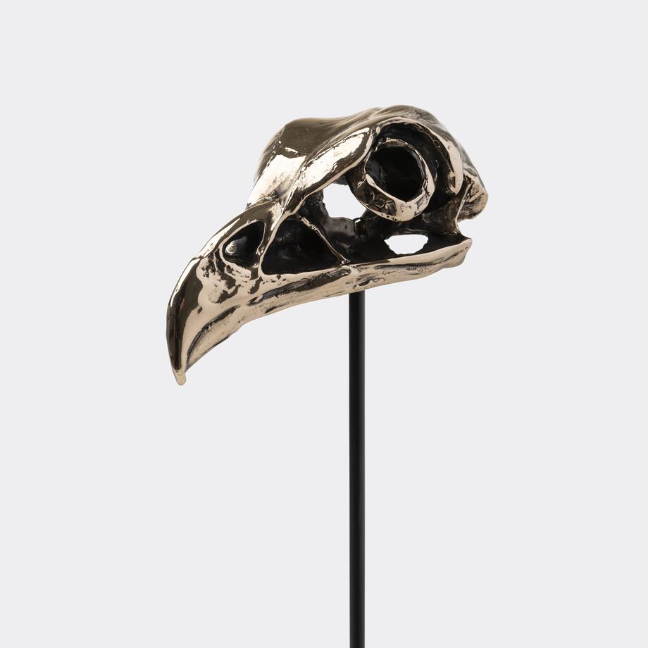 Bronze Bird Skulls, Secretary, Antiqued Polished Gold
