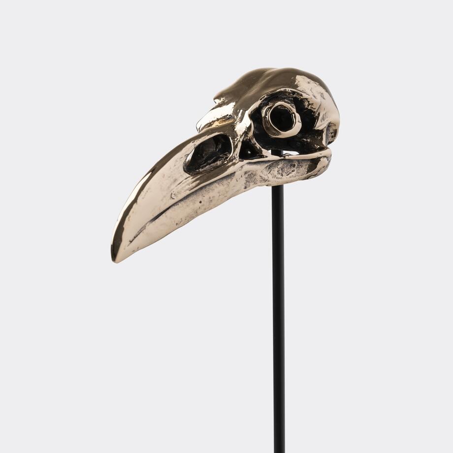 Bronze Bird Skulls, Raven, Antiqued Polished Gold